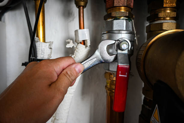  Breinigsville, PA Plumbing Pros